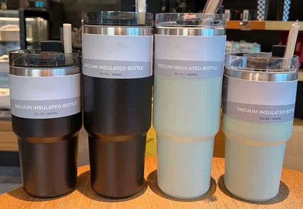 BS-241 Insulated Bottle