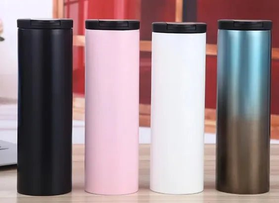 BS-248 Insulated Bottle