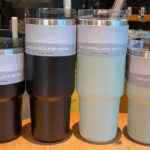 BS-241 Insulated Bottle