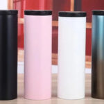 BS-248 Insulated Bottle