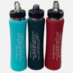 BS-250 Insulated Bottle