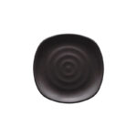 B201 10" Frosted Plate