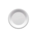 B319 Melamine 10.5″Round Plate